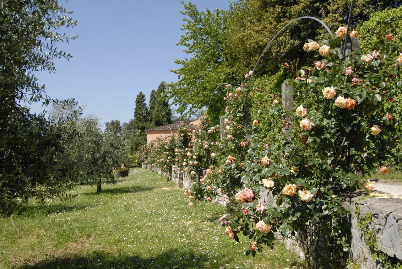 La Chiusa Di Nanni Piaggiori Ngoại thất bức ảnh